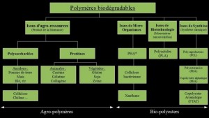 polymères biodégradables